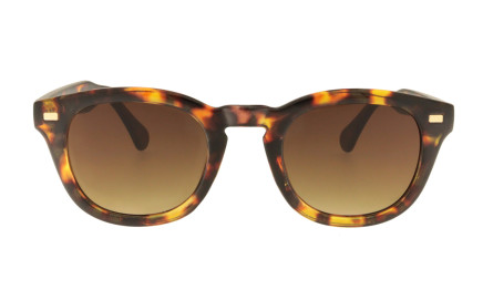 Bob tortoise - Bob Dylan style sunglasses | Charly Therapy