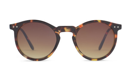 Tortoise sunglasses by Charly Therapy