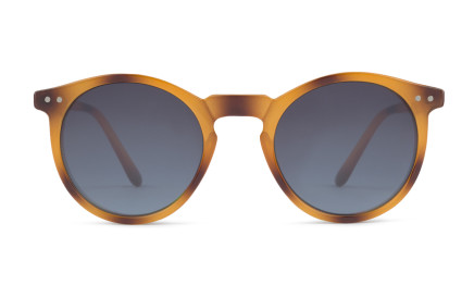 charles in town - honey color sunglasses - Charly Therapy