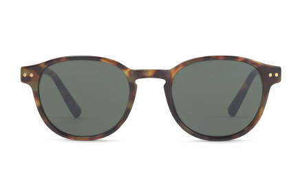 Charly Therapy  sunglasses Jerry tortoise